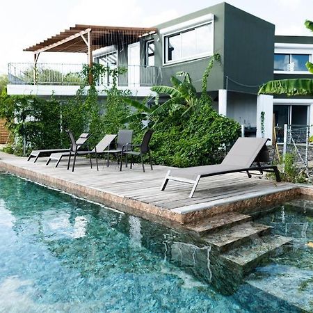 T3 Lumineux Avec Vue Exceptionnelle Et Piscine Oasis De Nature Et Serenite Petit-Canal Extérieur photo
