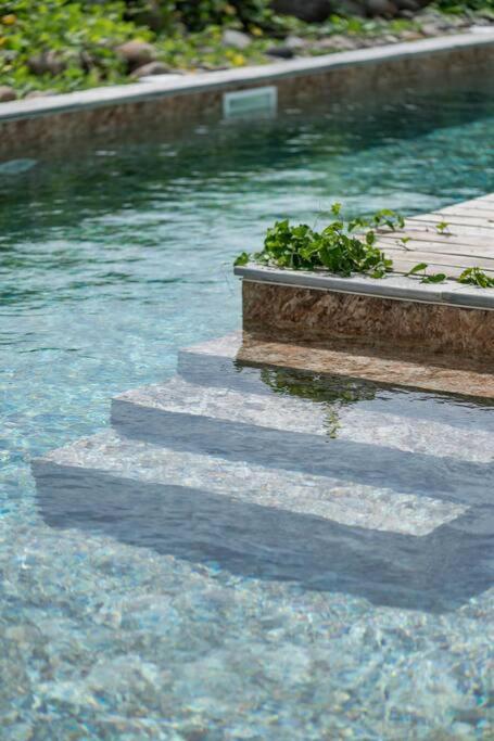 T3 Lumineux Avec Vue Exceptionnelle Et Piscine Oasis De Nature Et Serenite Petit-Canal Extérieur photo