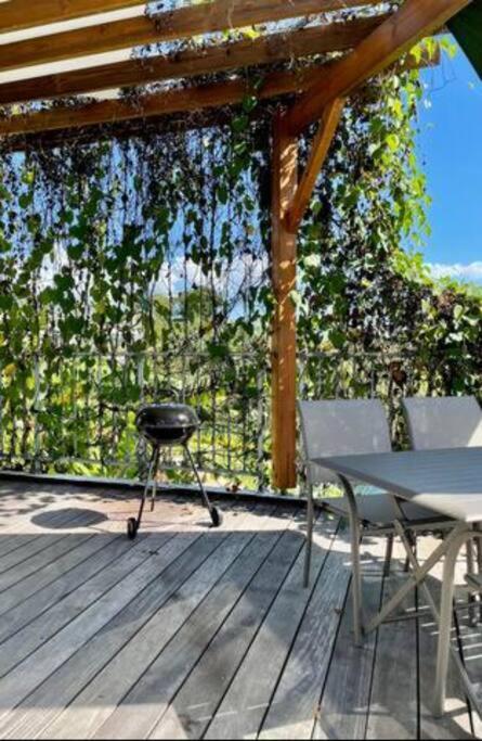 T3 Lumineux Avec Vue Exceptionnelle Et Piscine Oasis De Nature Et Serenite Petit-Canal Extérieur photo