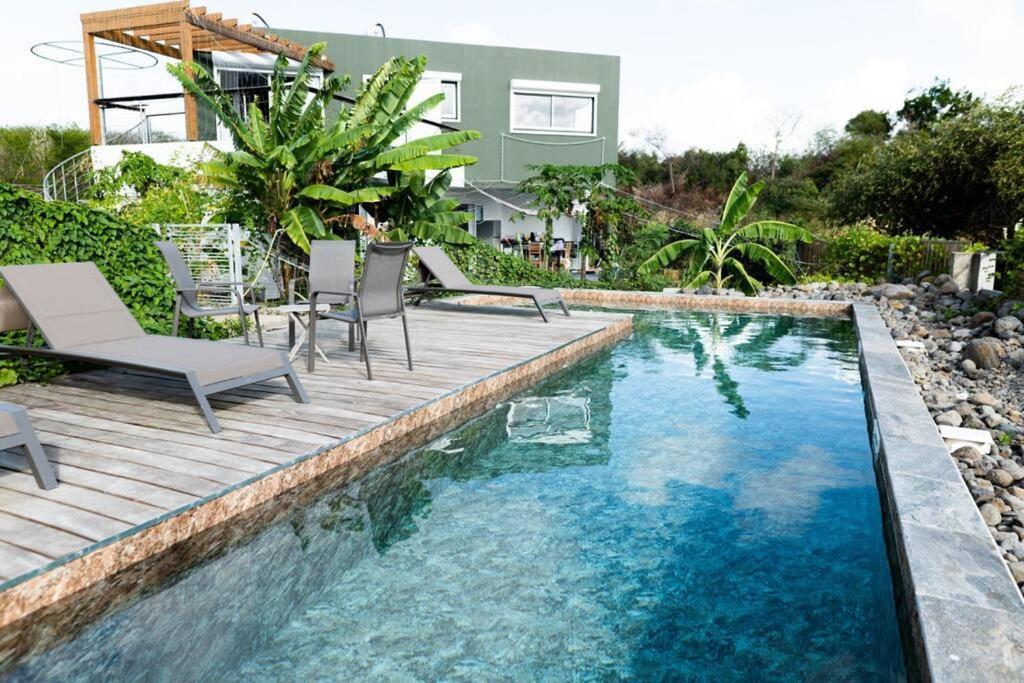 T3 Lumineux Avec Vue Exceptionnelle Et Piscine Oasis De Nature Et Serenite Petit-Canal Extérieur photo